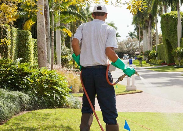 About Moline KS Pest Control
